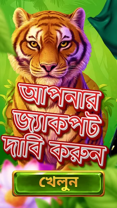 সৌভাগ্যের খেলা Screenshot